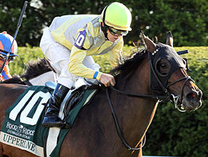 GSW Upperline Retired to Stone Farm GSW Upperline Retired to Stone Farm