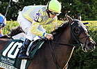 GSW Upperline Retired to Stone Farm GSW Upperline Retired to Stone Farm