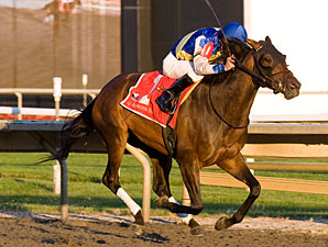 Rash of Etodolac Positives at Arlington Park Rash of Etodolac Positives at Arlington Park
