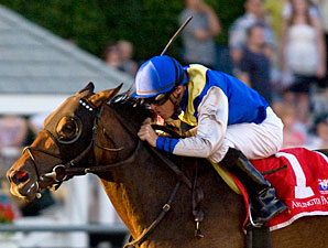 Matron, Classic Headline Arlington Park Card Matron, Classic Headline Arlington Park Card