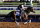 Upstart Progressing Toward Sophomore Debut Upstart Progressing Toward Sophomore Debut
