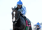 Upstart, Frosted Rematch in Fountain of Youth Upstart, Frosted Rematch in Fountain of Youth