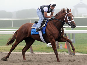Belmont: Tour of the Track Beneficial Belmont: Tour of the Track Beneficial