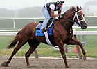 Belmont: Tour of the Track Beneficial