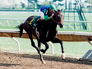 Multiple Grade I Winner Urbane Dies at Age 22 Multiple Grade I Winner Urbane Dies at Age 22
