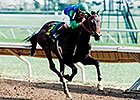 Multiple Grade I Winner Urbane Dies at Age 22 Multiple Grade I Winner Urbane Dies at Age 22