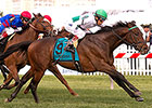 Dixie Winner Utley to Canada for King Edward Dixie Winner Utley to Canada for King Edward