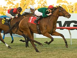 Grade I Winner Vacare Retired Grade I Winner Vacare Retired