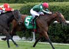 Vacare Is First Lady of Keeneland