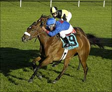 Vacare Stays Perfect With QE II Cup Upset Vacare Stays Perfect With QE II Cup Upset