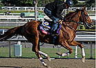 Vagabond Shoes Set to Travel Long in BC Turf Vagabond Shoes Set to Travel Long in BC Turf