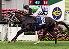 Variety Club Dominant Champions Mile Winner Variety Club Dominant Champions Mile Winner