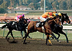 Major California Runner Variety Road Dies Major California Runner Variety Road Dies