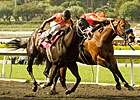 Potrero Grande: Gomez Redeemed With Ventana Potrero Grande: Gomez Redeemed With Ventana