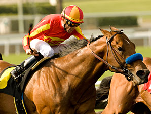 Grade II Winner Ventana to Indiana Grade II Winner Ventana to Indiana