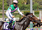 Ventura, Indian Blessing May Clash Again
