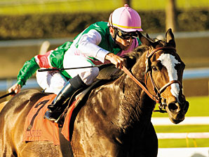 Ventura Out of Shoemaker Ventura Out of Shoemaker