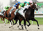 Ventura Aces Vinery Madison Test