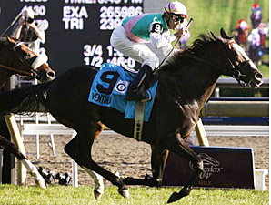 Countdown to the Cup: More Fantastic Fillies Countdown to the Cup: More Fantastic Fillies