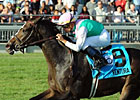 Ventura to Run in Hollywood's Matriarch Ventura to Run in Hollywood's Matriarch