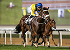 Soumillon Scores Group II Double at Meydan Soumillon Scores Group II Double at Meydan