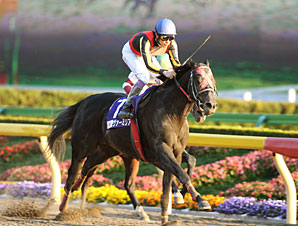 Vermilion Scores in Japan Cup Dirt Vermilion Scores in Japan Cup Dirt