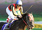 Vermilion On Target; World Cup Next Vermilion On Target; World Cup Next
