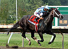 Verrazano Set for European Debut in Lockinge Verrazano Set for European Debut in Lockinge