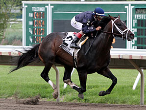 Verrazano Flies Home Alone in Pegasus Romp Verrazano Flies Home Alone in Pegasus Romp
