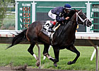 Verrazano Flies Home Alone in Pegasus Romp Verrazano Flies Home Alone in Pegasus Romp