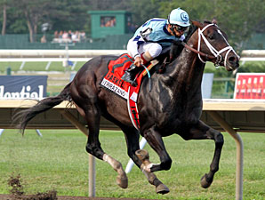 Verrazano Works Bullet for BC Dirt Mile Verrazano Works Bullet for BC Dirt Mile