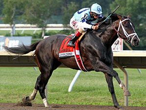 Full Field Awaits Verrazano in BC Dirt Mile Full Field Awaits Verrazano in BC Dirt Mile