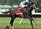 Full Field Awaits Verrazano in BC Dirt Mile Full Field Awaits Verrazano in BC Dirt Mile