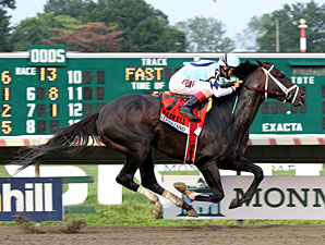 Verrazano Dazzles With Easy Haskell Victory Verrazano Dazzles With Easy Haskell Victory
