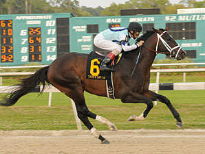 Verrazano to Face Vyjack in Wood Memorial Verrazano to Face Vyjack in Wood Memorial