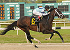 Verrazano Favored Over Vyjack in Wood Verrazano Favored Over Vyjack in Wood