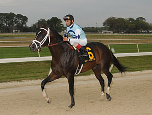 Pletcher Keeping Options Open for Verrazano Pletcher Keeping Options Open for Verrazano