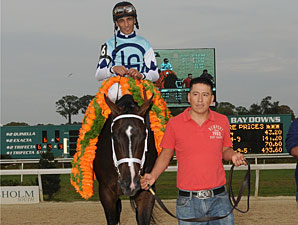 Verrazano Tops NTRA 3YO Poll Verrazano Tops NTRA 3YO Poll