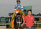 Field Tops Verrazano as Derby Future Choice Field Tops Verrazano as Derby Future Choice