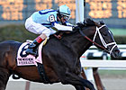 BC Dirt Mile to be Last Race for Verrazano BC Dirt Mile to be Last Race for Verrazano