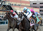 Castellano Picks Normandy Invasion for Derby