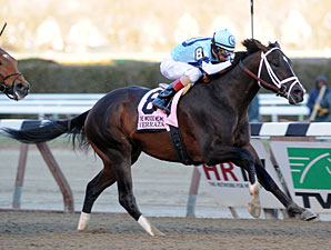 Verrazano Holds in Formful Wood Memorial Verrazano Holds in Formful Wood Memorial