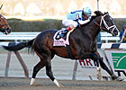 Verrazano Holds in Formful Wood Memorial Verrazano Holds in Formful Wood Memorial