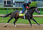 Pletcher Breezes Five Derby Contenders Pletcher Breezes Five Derby Contenders