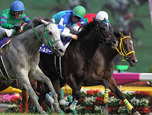 Verxina Lands Elusive Group I Win in Japan Verxina Lands Elusive Group I Win in Japan