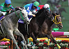 Verxina Lands Elusive Group I Win in Japan Verxina Lands Elusive Group I Win in Japan