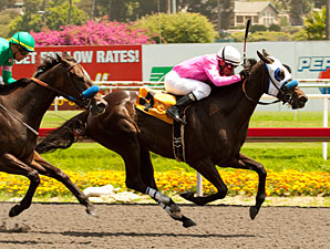 Via Villaggio Eclipses 'Moon for Railbird Win Via Villaggio Eclipses 'Moon for Railbird Win