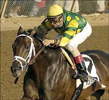 Vicarage Crushes Field in Perryville Stakes Vicarage Crushes Field in Perryville Stakes
