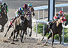Vicar's in Trouble Dictates Louisiana Derby Vicar's in Trouble Dictates Louisiana Derby