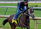 Louisiana Hopes Riding on Vicar's in Trouble Louisiana Hopes Riding on Vicar's in Trouble